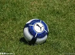 胡尔克成就,辉煌,球里程碑,金年会官方入口,金年会入口,金年会共享联赛,金年会官方网站,金年会官方网站